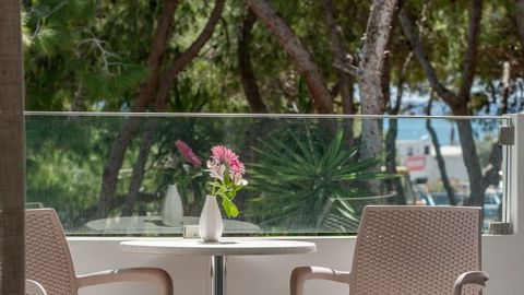 Hotel Vasilikos Beach Zante Zakynthos Greece